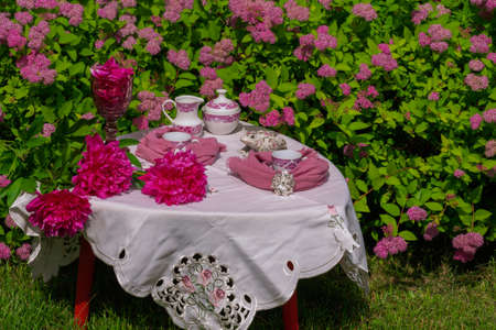 Morning tea on a table in the garden against the backdrop of a flowering shrub Japanese spirea
