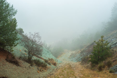 Morning fog in the mountains of Bulgaria in early springの写真素材