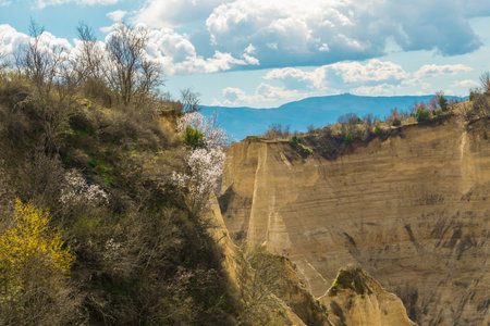 Flowering of dogwood and apple tree in early spring in sandy rocks near Melnik Bulgariaの写真素材