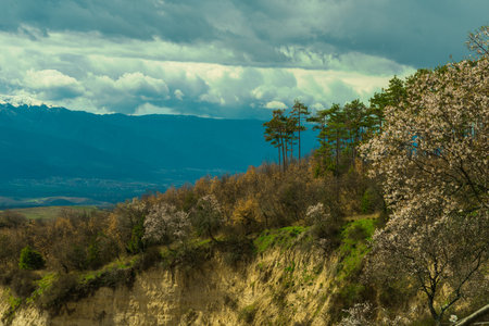 Flowering of dogwood and apple tree in early spring in sandy rocks near Melnik Bulgariaの写真素材