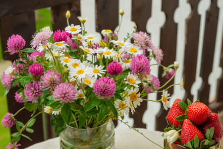 Bouquet of wild flowers chamomile and red cloverの写真素材