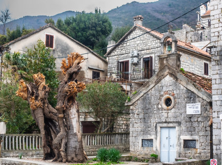 Prcanj in the Bay of Kotor, ancient buildings on the coastal streetの写真素材
