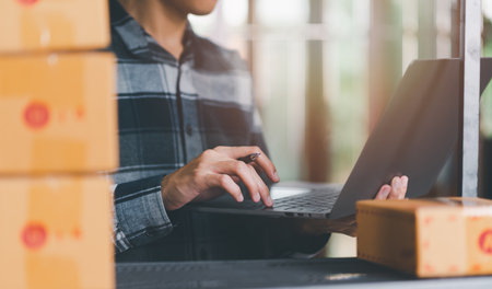Startup or small business entrepreneur,Check sales and check business growth reports,order...