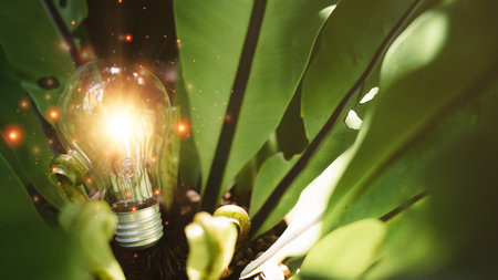 a light bulb placed in a tree,innovative and inspirational concept,Technology creativity for future inventions and developments,Business for innovative solution concept,environmental protectionの写真素材