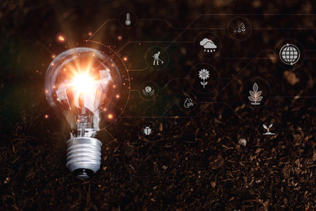 The bulbs are on fertile soil,The concept of abundance in the soil, preserving the...