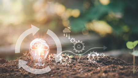 light bulb in the soil, nature background, environmental protection technology concept Protect and preserve resources, renewable energy, reduce CO2 emissions to avoid worsening climate change.の写真素材