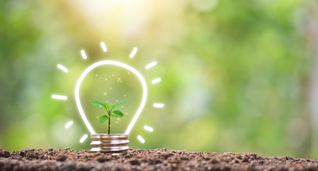 protecting the environment alternative energy Sustainable renewable energy sources Green energy...