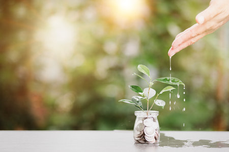 Hands watering down the tree in the glass jar, financial and investment growth concept, sustainable income and profit development planning, retirement preparation, future fund management.の写真素材