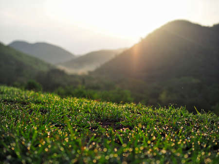 Sunrise and grass and the mountainの写真素材