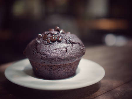 chocolate muffin with chocolate chipsの写真素材