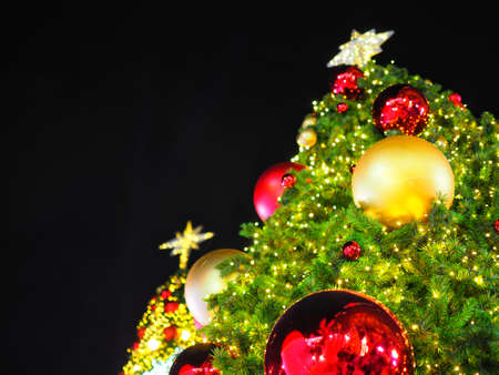 Big Christmas Tree lighting from low angle view at night in Christmas Festival with black background. Can use for Background or add your text to copy space.の写真素材
