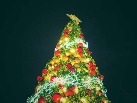 Big Christmas Tree lighting at night in Christmas Festival with black background. Can use for Background or add your text to copy space.の写真素材