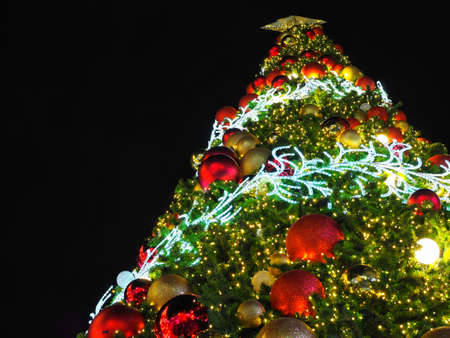 Big Christmas Tree lighting from low angle view at night in Christmas Festival with black background. Can use for Background or add your text to copy space.の写真素材