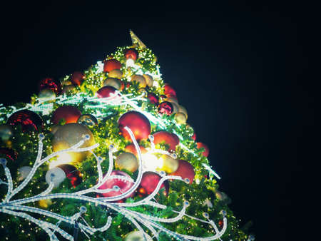 Big Christmas Tree lighting from low angle view at night in Christmas Festival with black background. Can use for Background or add your text to copy space.の写真素材