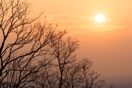 Warm evening sun above naked trees on a bright winter day in Karlsruhe, Germanyの写真素材