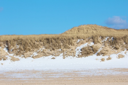 Dune scene with beach grass and snow along a North Sea beach on Sylt island, Germanyの写真素材