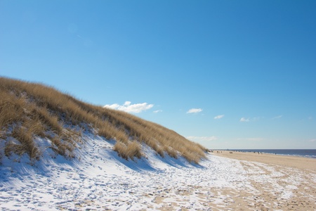 Dune scene with beach grass and snow along a North Sea beach on Sylt island, Germanyの写真素材