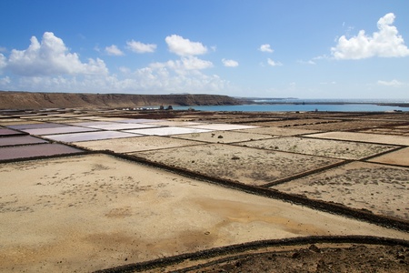 Salt fields on the west coast of Lanzarote island, Spainの写真素材