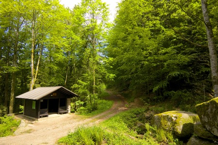 Romantic hiking trail with a wooden hut along famous Gertelbach waterfalls, Black Forest, Germanyのeditorial素材