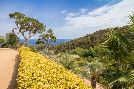 Walkway through a beautiful Mediterranean botanical garden above the rocky Costa Bravaの写真素材