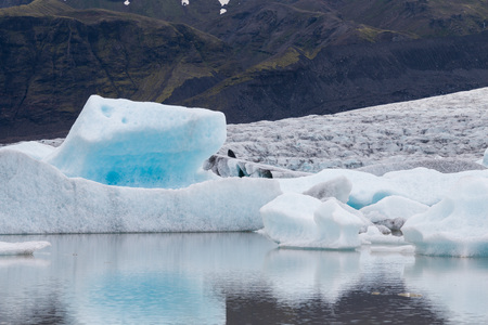 Famous Fjallsarlon glacier and lagoon with icebergs swimming on the water, close to Jokulsarlon,...