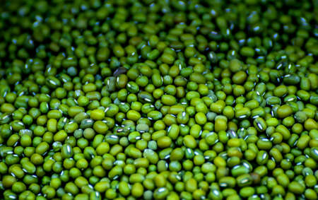 Mung bean background.Green bean.の写真素材