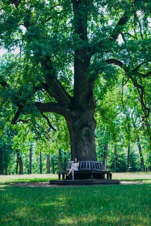 Beautiful young girl sitting on a bench near a tree. Girl in a summer dress in the park. Young woman sitting on a wooden benchの写真素材