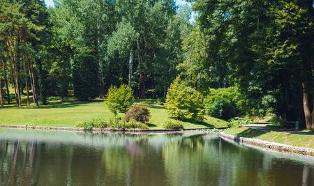 Beautiful green park. Lake in the park on a warm summer day. Pond in the summer parkの写真素材