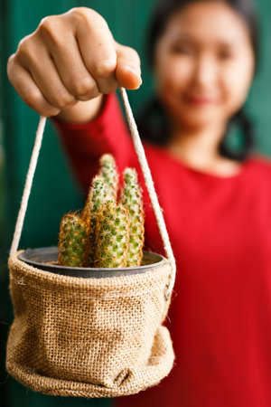 Woman is holding a cactus.の写真素材