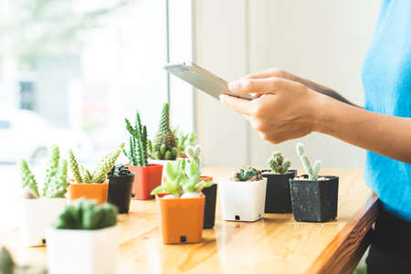 People are decorating the house with cactus.の写真素材
