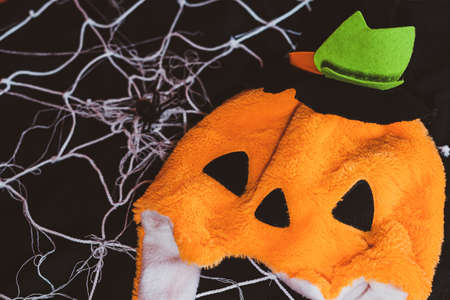 Halloween spider web and pumpkin home decor.の写真素材