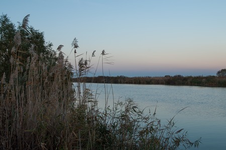 twilight, reeds, river.の写真素材