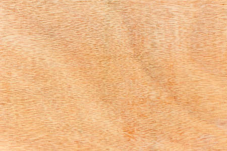 Wooden texture backgroundの写真素材