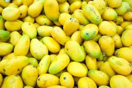fresh mango