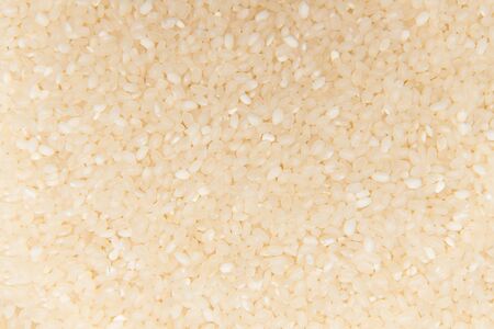 a plate of rice on table