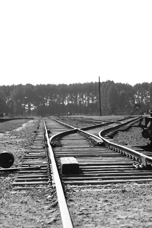 The train track that enters the death camp Auschwitz, Poland. の写真素材