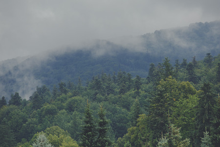 View of mountain forest landscape under sunlight in the middle of the summer with heavy blue sky as a background. Green wood mountain forest in clouds scenery.の写真素材