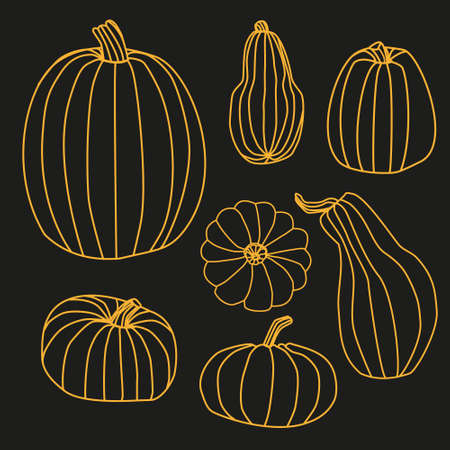 Set of pumpkin in line.のイラスト素材