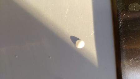 Water drop on white shelfの写真素材