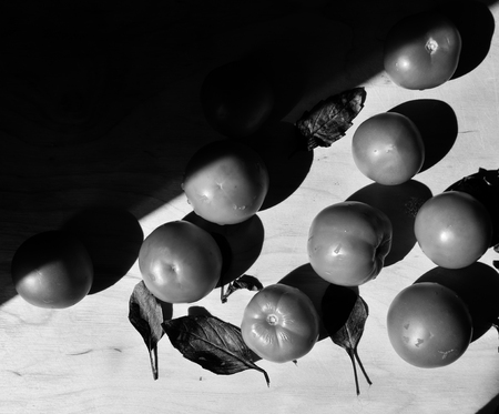 abstract tomatoes minimalism, composition, conceptualism art photo backgroundの写真素材