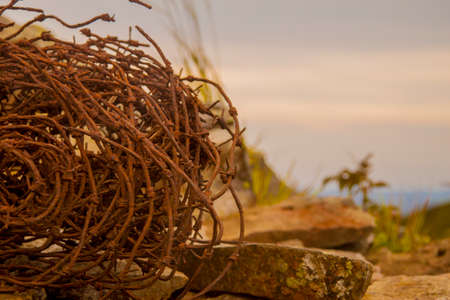 coil of rusty barbed wire on a background of mountain sceneryの写真素材
