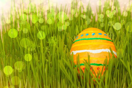 one colored easter egg in green spring grass with bokeの写真素材
