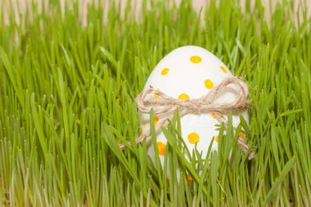 one easter spotted egg with bowknot in spring grassの写真素材