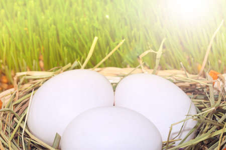 three easter eggs in basket with hay on grass backgroundの写真素材