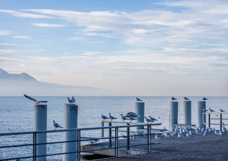 Beautiful view on Geneva Lake can be used as backgroundの写真素材