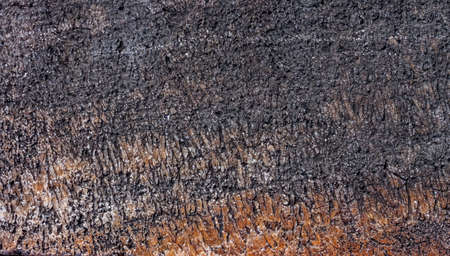 Stone texture can be used as backgroundの写真素材