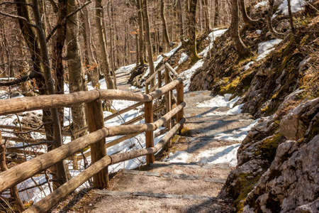 Path in forest way to waterfall Slavica in Sloveniaの写真素材