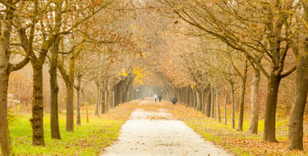 Ljubljana walking path around the city in autumn