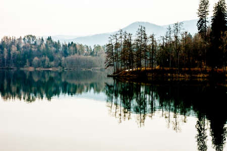 dark green lake shore with forest and reflection in surface