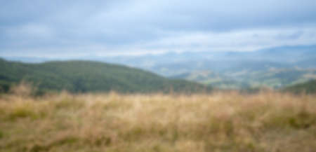 blurred summer landscape in the Ukrainian Carpathians as backgroundの写真素材